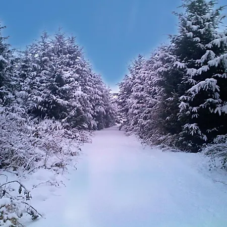 Tour House, A Country Escape Set In Natures Beauty * Youghal