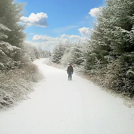 Tour House, A Country Escape Set In Natures Beauty Hébergement de vacances