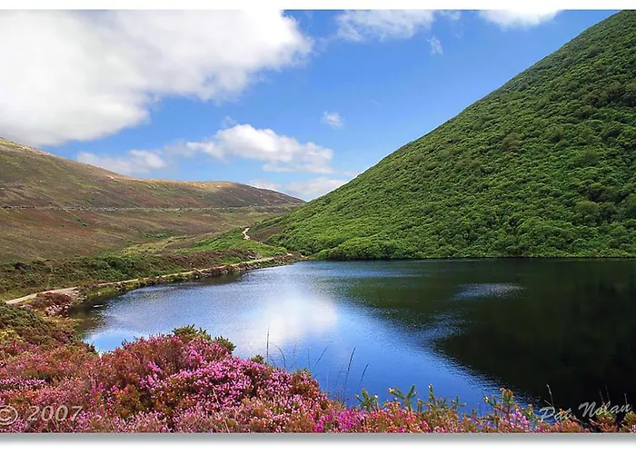Tour House, A Country Escape Set In Natures Beauty Nyaraló