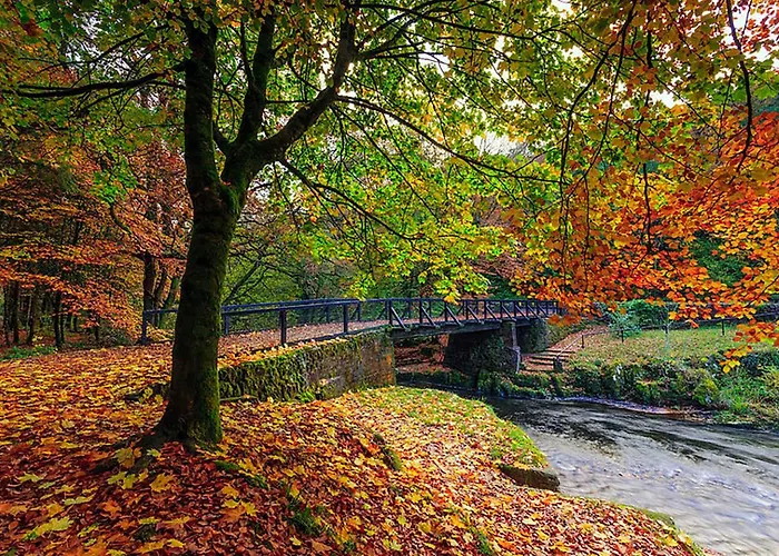 Tour House, A Country Escape Set In Natures Beauty