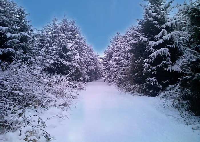 Tour House, A Country Escape Set In Natures Beauty * Youghal