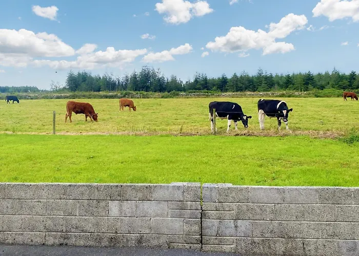 Tour House, A Country Escape Set In Natures Beauty Hébergement de vacances