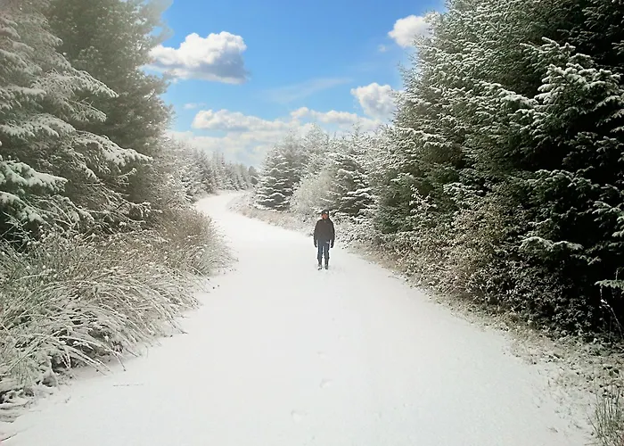 Tour House, A Country Escape Set In Natures Beauty Hébergement de vacances